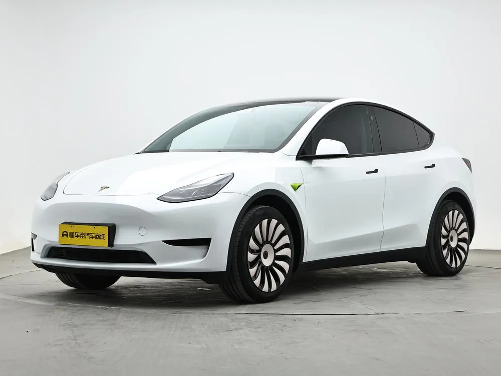 Tesla Model Y Edition, 2024 — фото 1