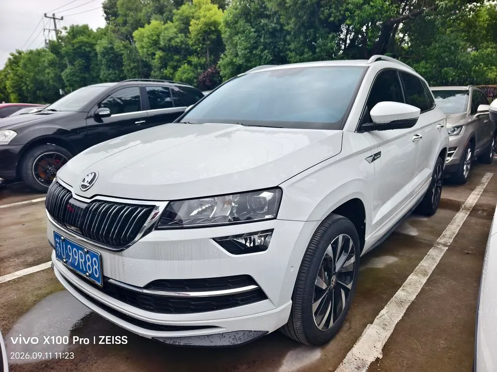 Skoda Karoq, 2024