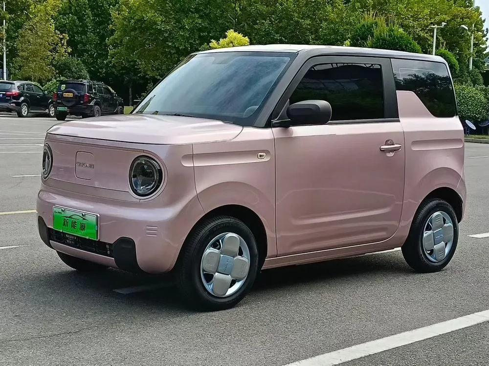 Galaxy Panda 200km mini, 2023 — фото 1
