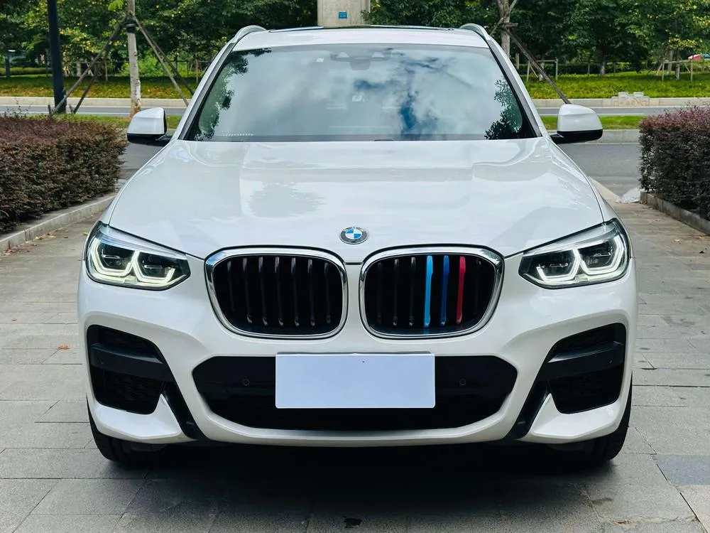 BMW X3 xDrive25i M Sport, 2020 — фото 1