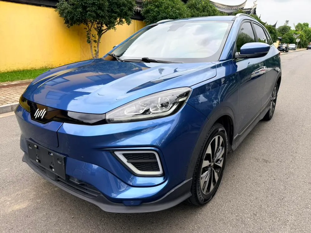 WM Motor Weltmeister EX5, 2019
