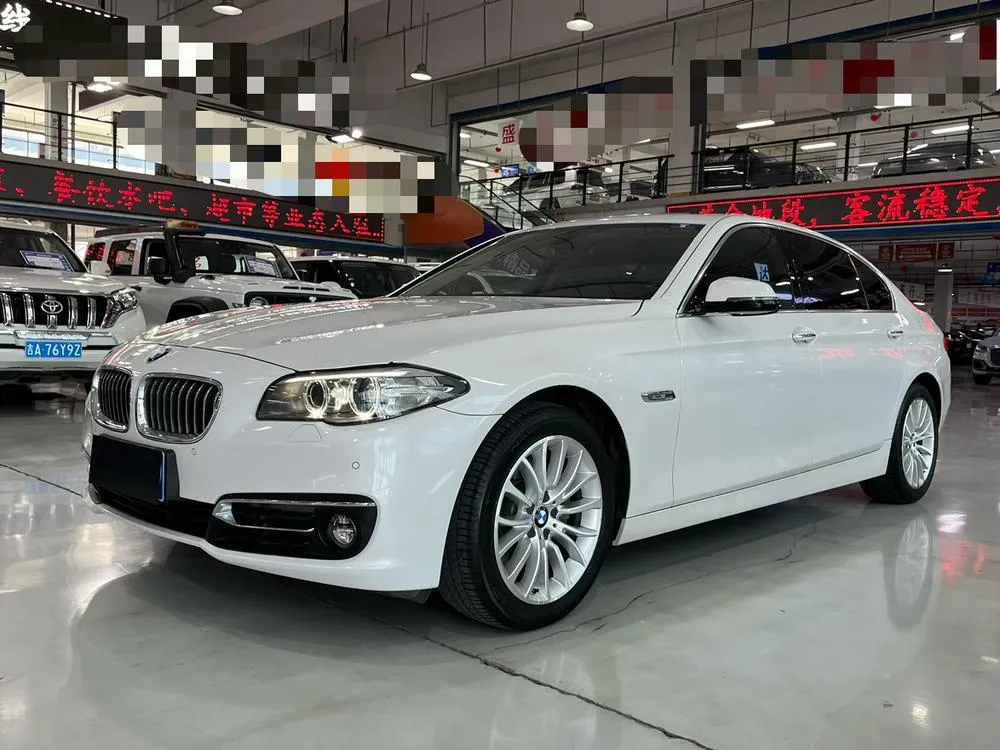 BMW 5-Series 525Li Luxury, 2017 — фото 1