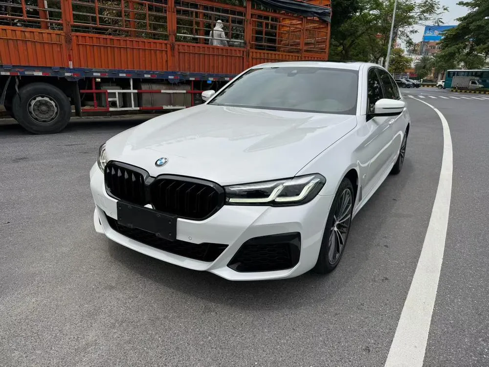 BMW 5-Series Facelift 530Li Leading Version M Sport, 2022 — фото 1