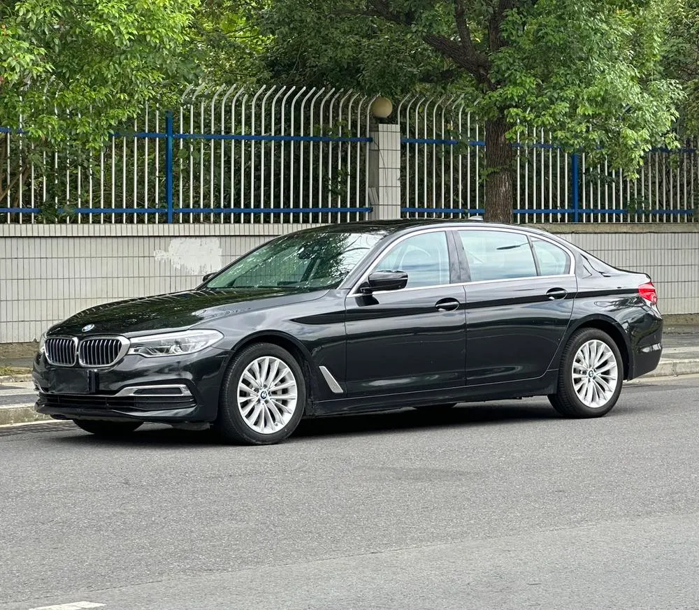 BMW 5-Series 530Li Leading Version Luxury, 2020 — фото 1