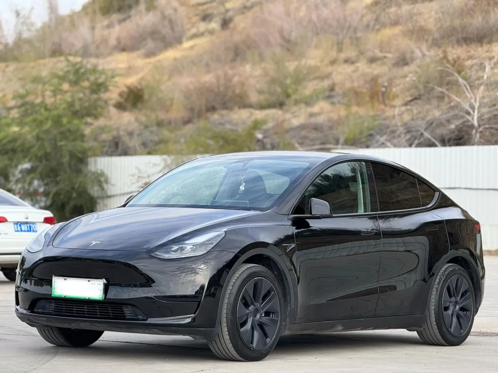 Tesla Model Y Edition, 2023 — фото 1