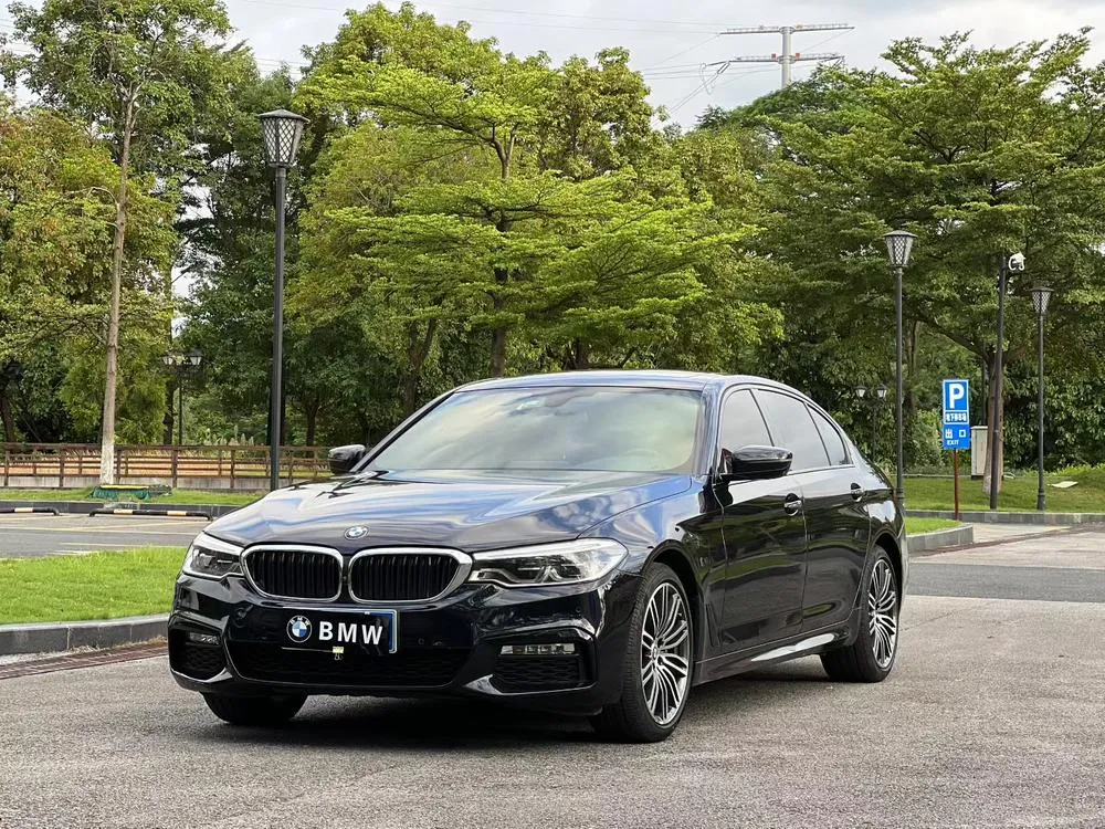 BMW 5-Series Facelift 530Li Prestige Version M Sport, 2018 — фото 1