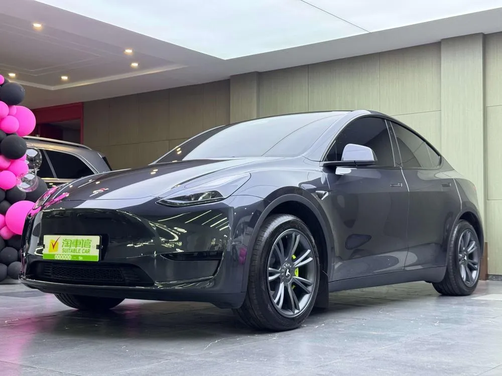 Tesla Model Y Edition, 2024 — фото 1
