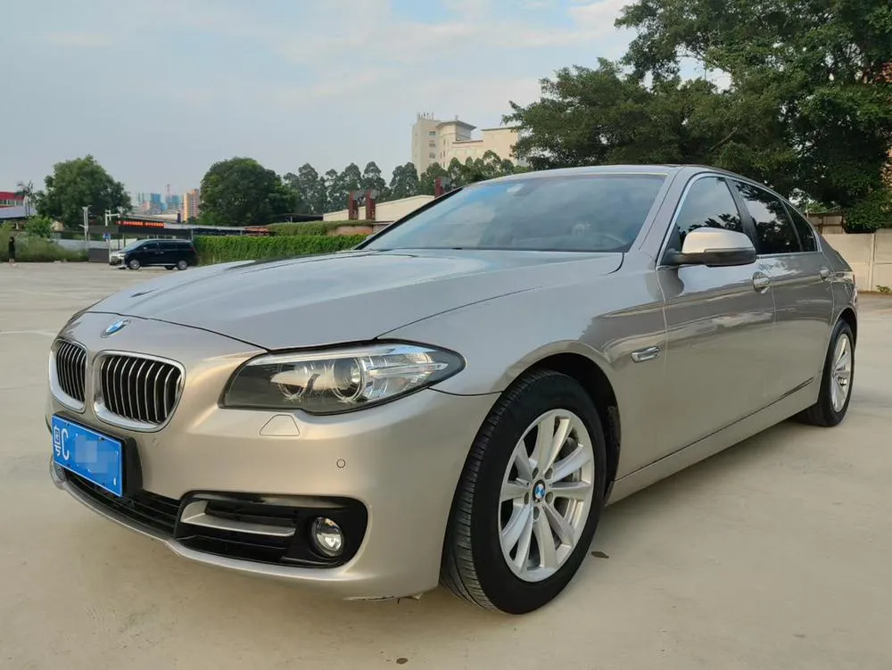 BMW 5-Series 520Li Version, 2014 — фото 1