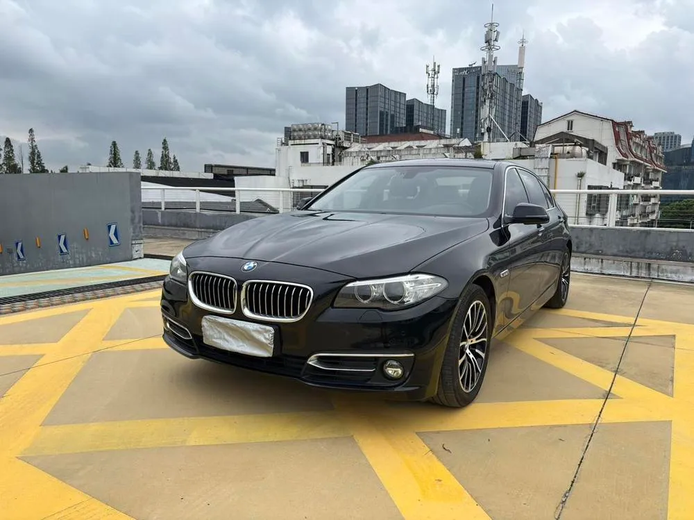 BMW 5-Series 525Li Luxury, 2014 — фото 1