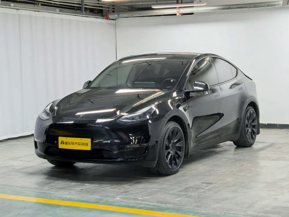 Tesla Model Y Standard Range Edition, 2021 — фото 1