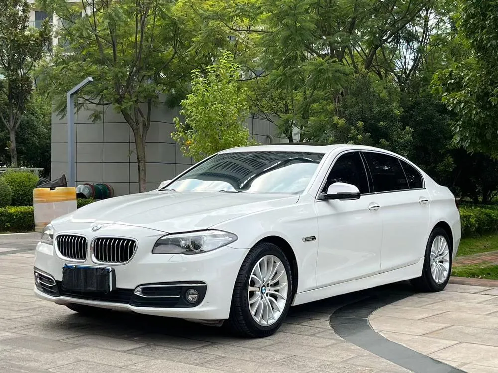 BMW 5-Series 525Li Luxury, 2014 — фото 1