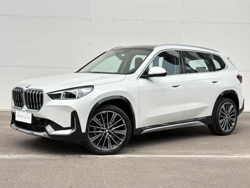 BMW X1 xDrive25Li X, 2025 — фото 1