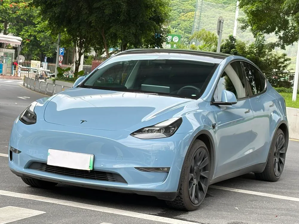 Tesla Model Y, 2021