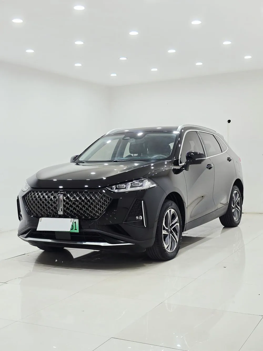 Wey DHT-PHEV DHT-PHEV версия, 2021 — фото 1
