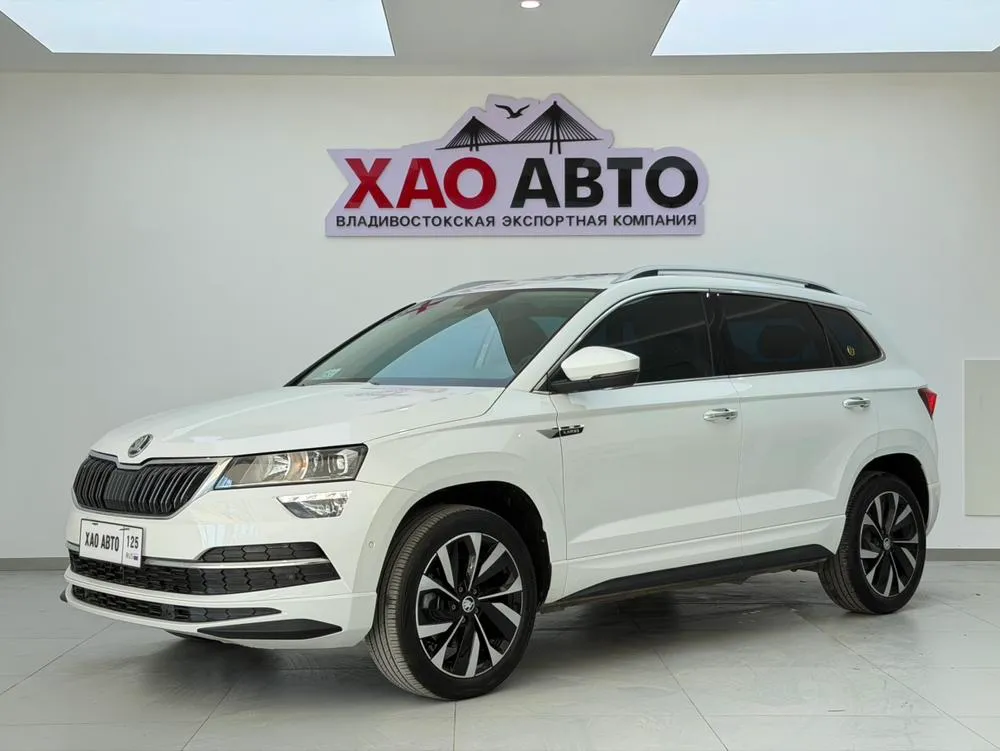 Skoda Karoq, 2023