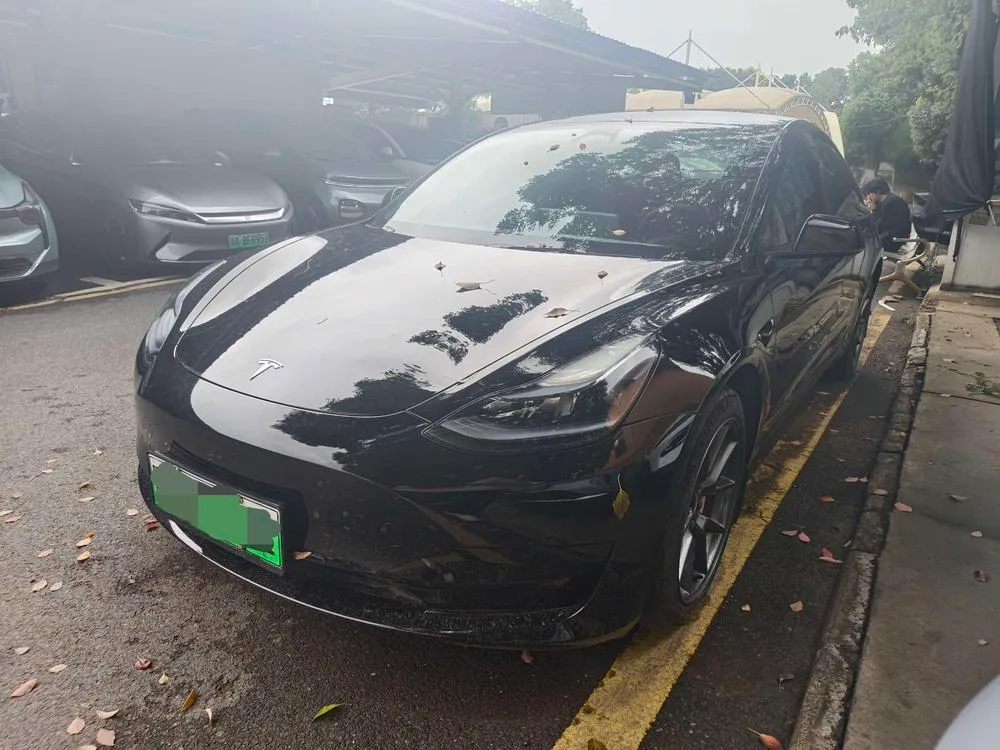 Tesla Model 3, 2022