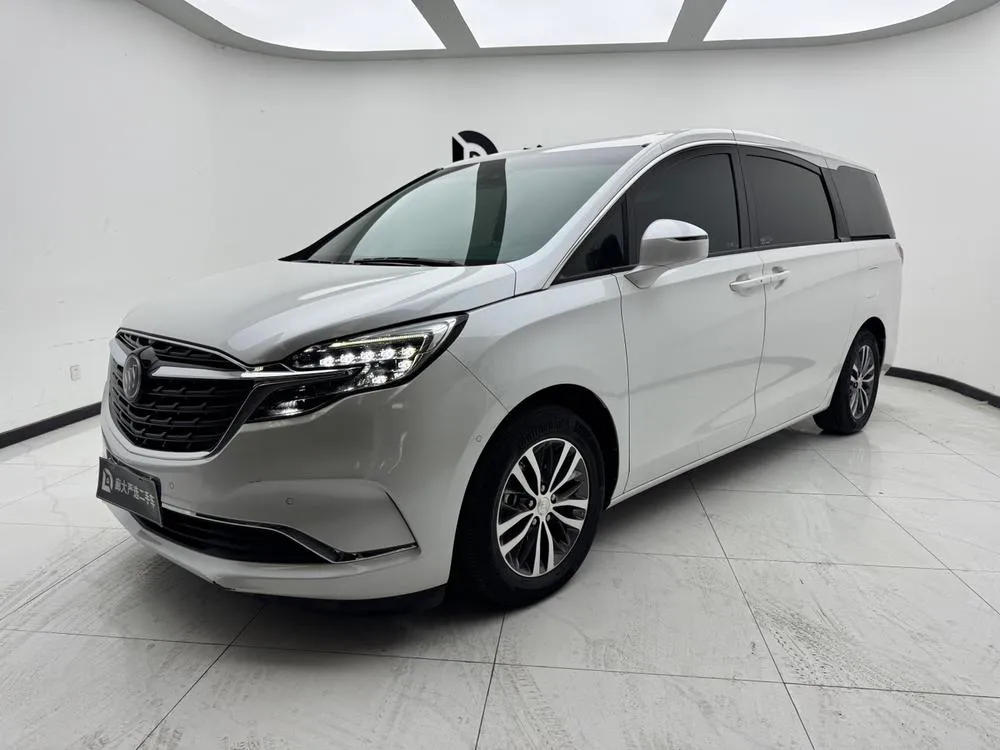 Buick GL8 ES Premium 653T Prestige Version, 2021 — фото 1