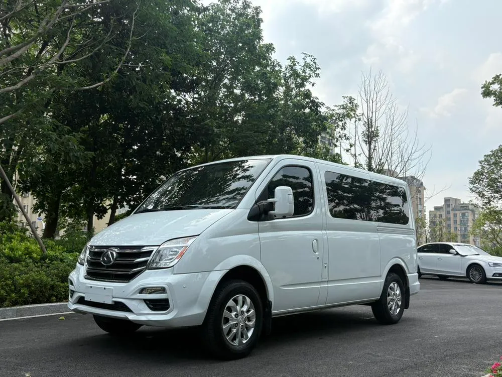 Maxus New V80, 2022