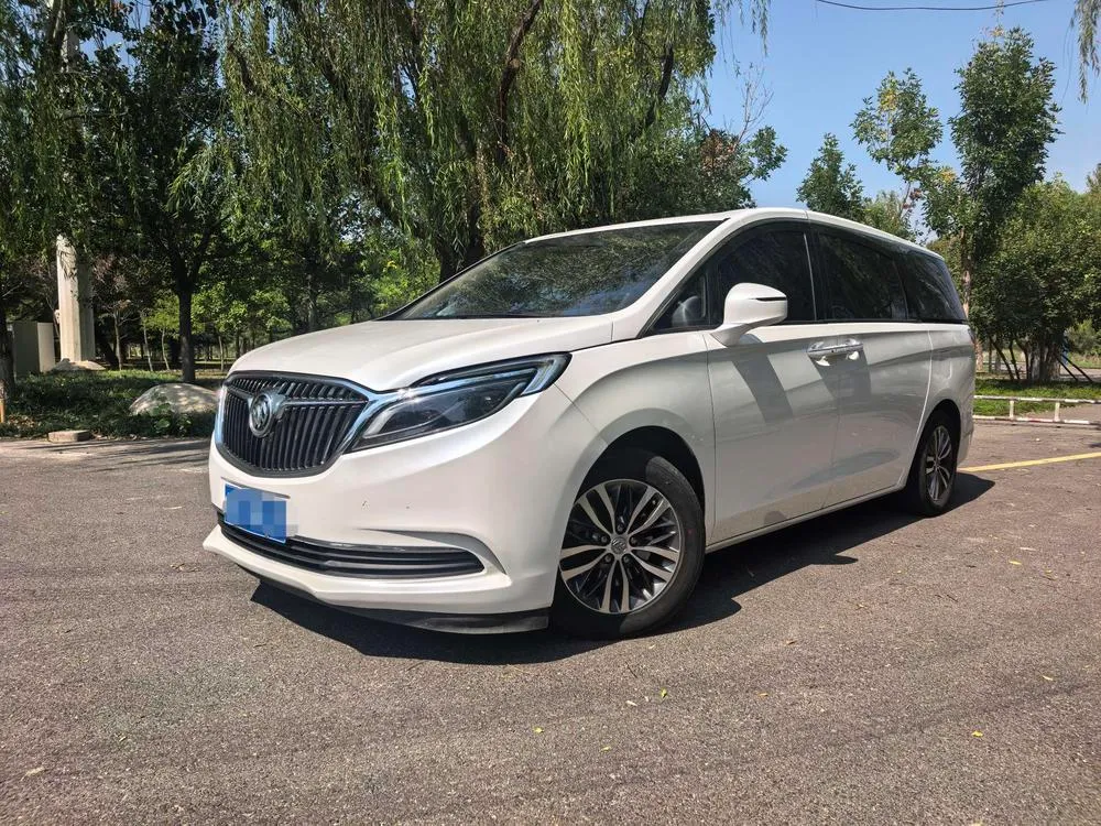 Buick GL8 ES 28T Luxury Version CN5, 2017 — фото 1
