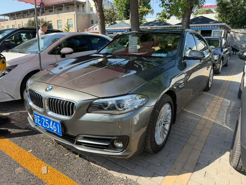 BMW 5-Series 525Li Leading Version, 2013 — фото 1