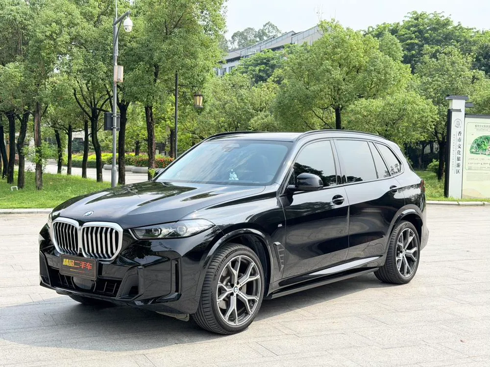 BMW X5 xDrive30Li Prestige Version M Sport, 2023 — фото 1