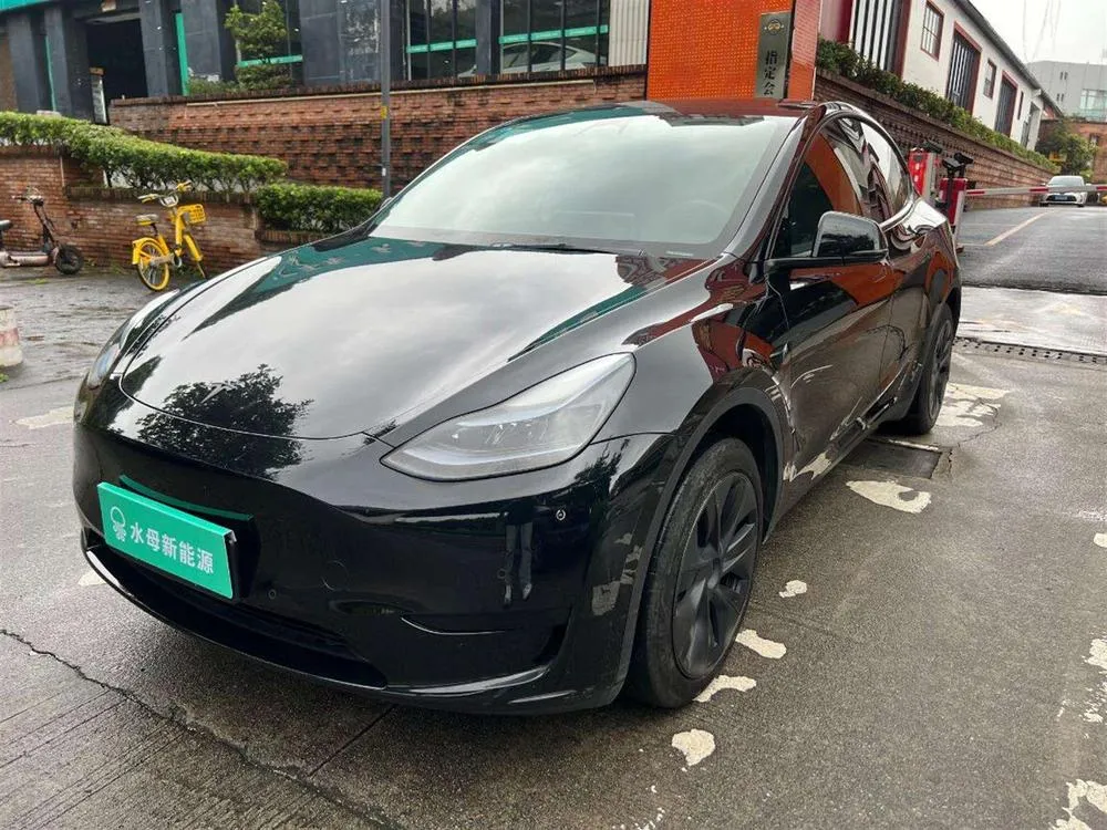 Tesla Model Y Edition, 2023 — фото 1