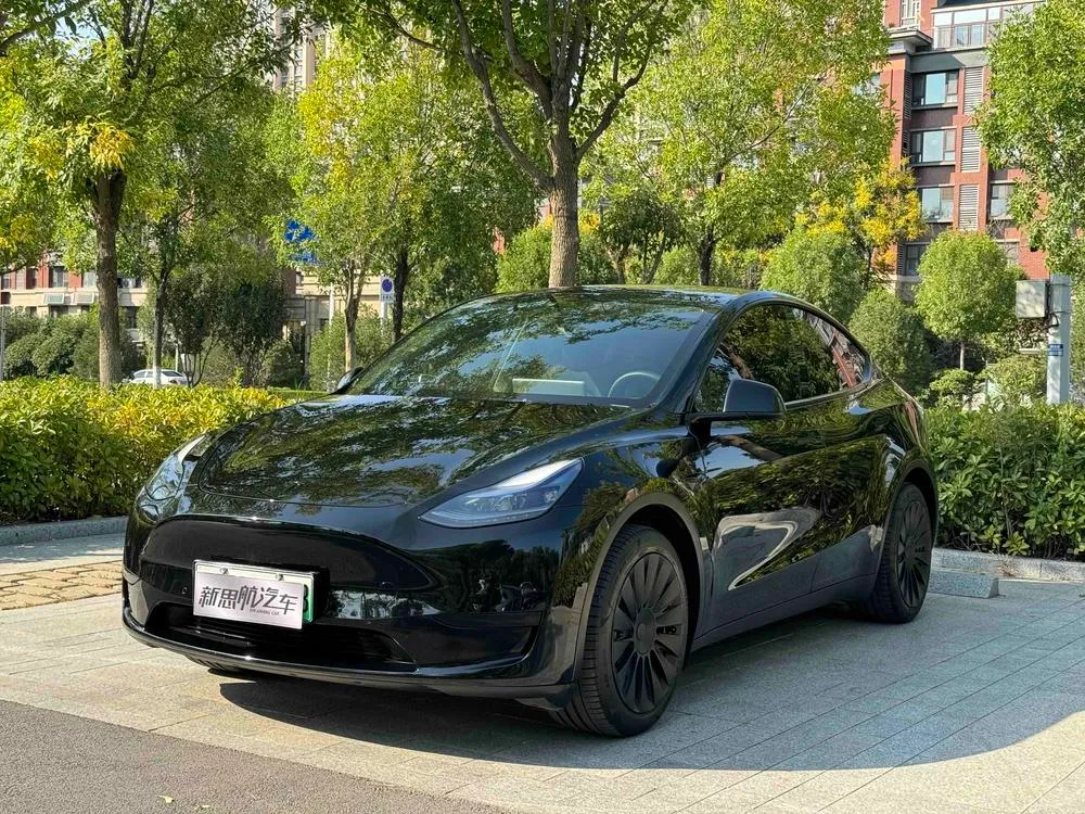 Tesla Model Y Edition, 2023 — фото 1