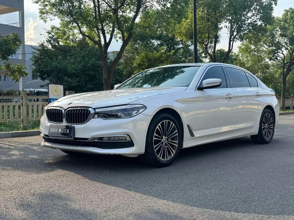 BMW 5-Series 530Li Prestige Version Luxury, 2018 — фото 1