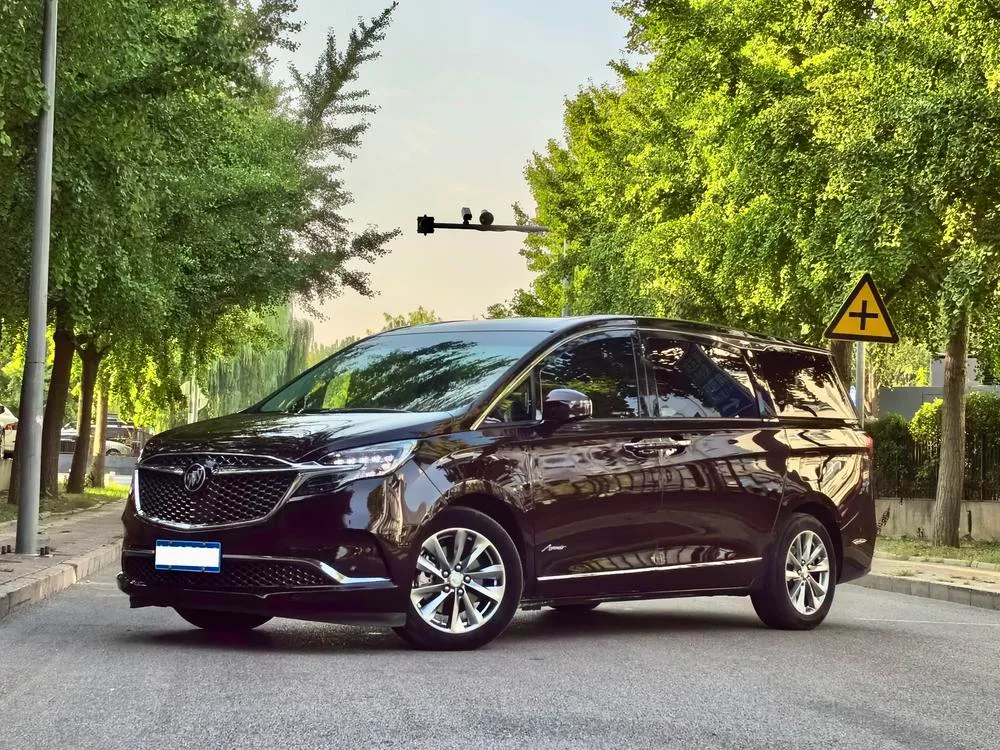 Buick GL8 2.0T 6-Seater Edition, 2022 — фото 1