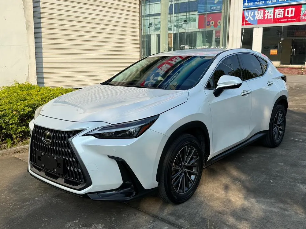 Lexus NX 260 FWD Rush Edition, 2022 — фото 1