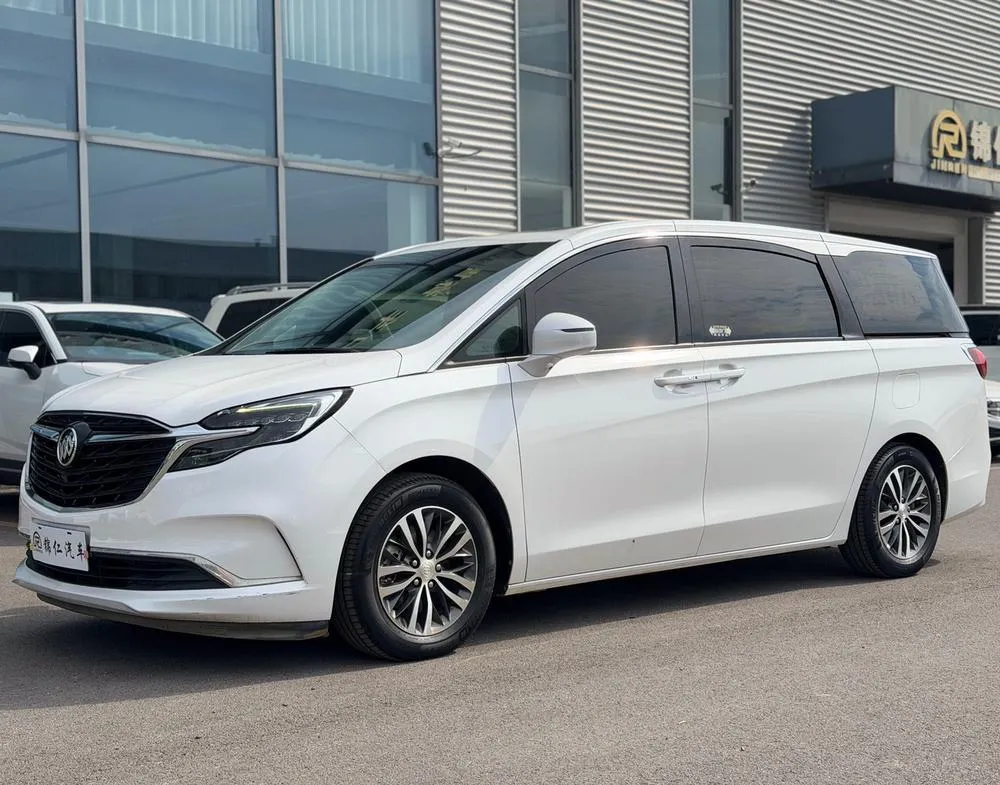 Buick GL8 ES Premium 653T Comfort Version, 2020 — фото 1