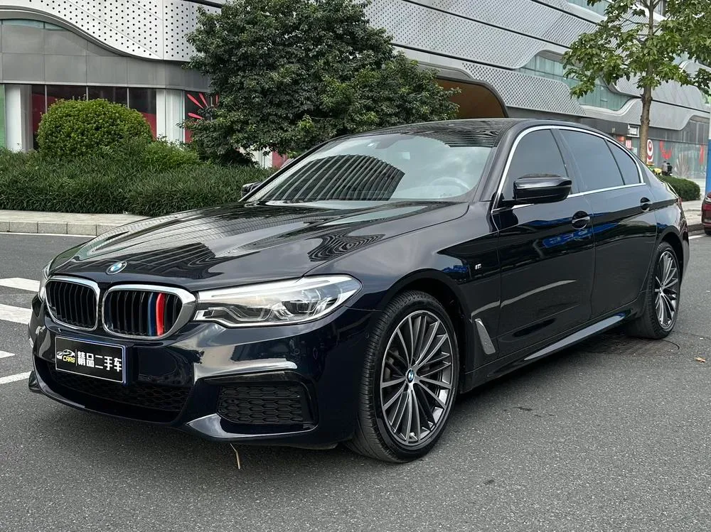 BMW 5-Series 530Li Leading Version M Sport, 2020 — фото 1