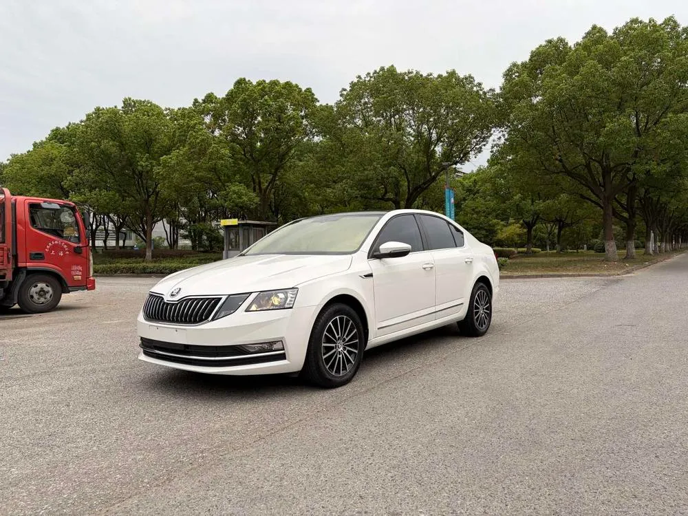 Skoda Octavia TSI230 DSG Luxury Edition, 2018 — фото 1