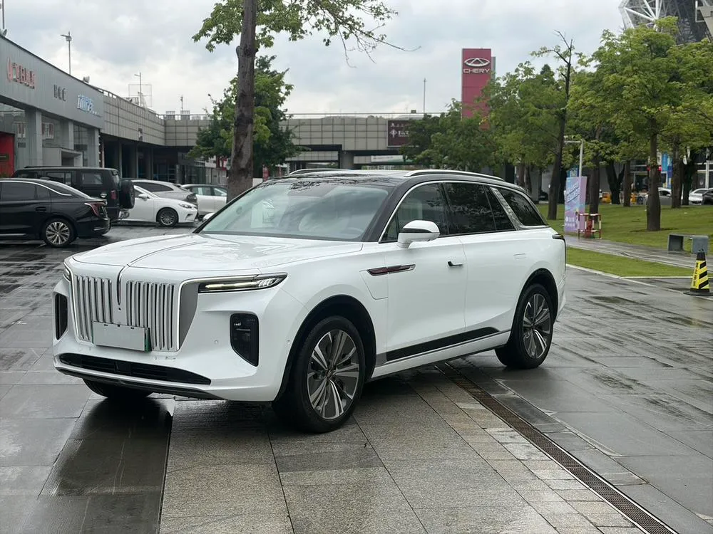 Hongqi E-HS9 690km Edition 6-Seater, 2022 — фото 1