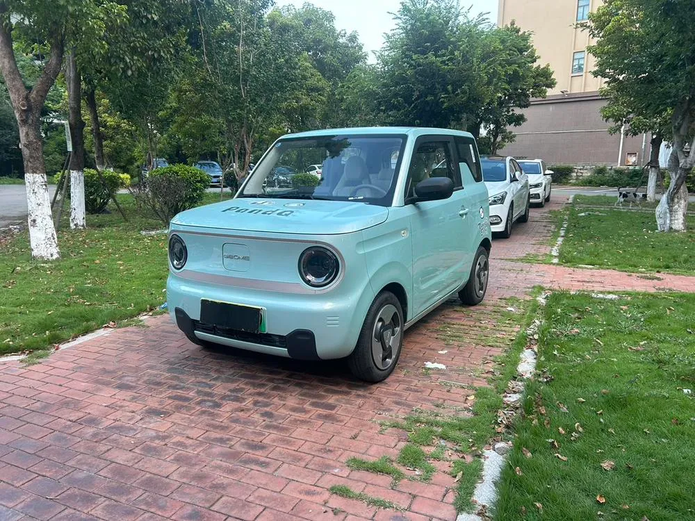 Galaxy Panda, 2023