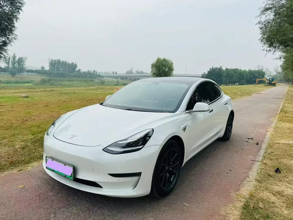 Tesla Model 3 Long Range Edition, 2020 — фото 1