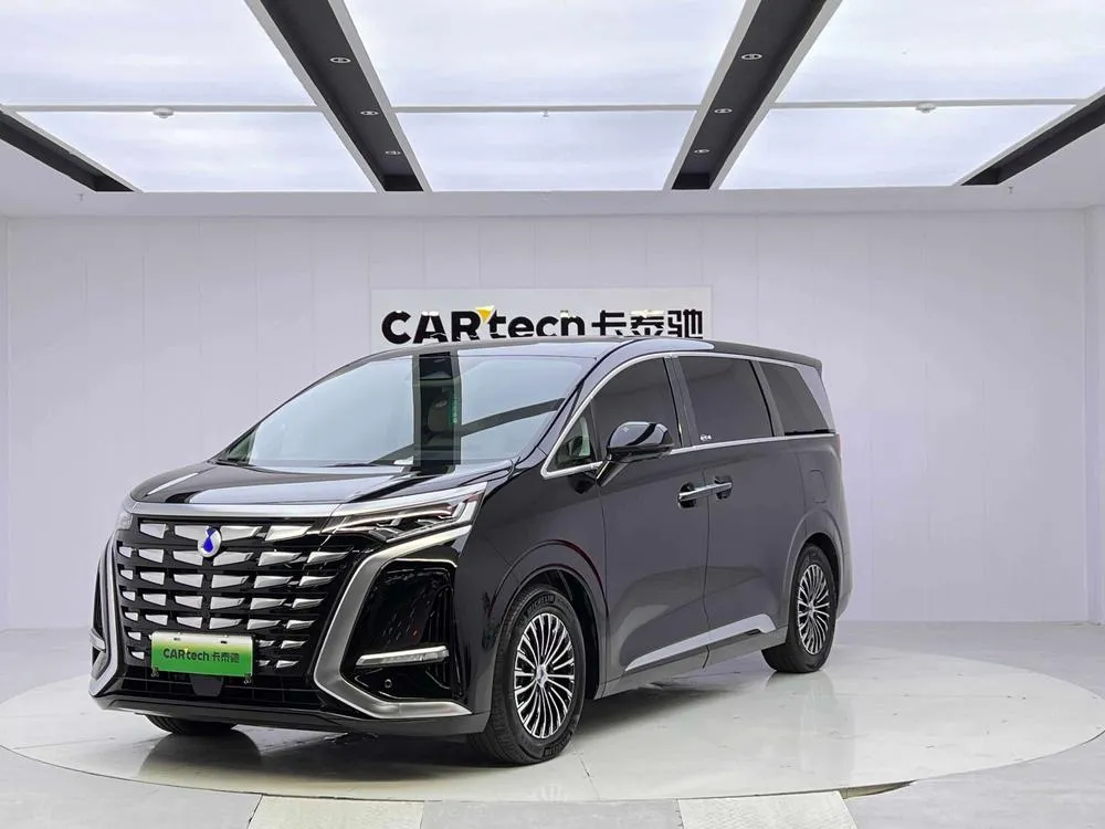Denza D9 DM 980 4WD Premium Version, 2024 — фото 1