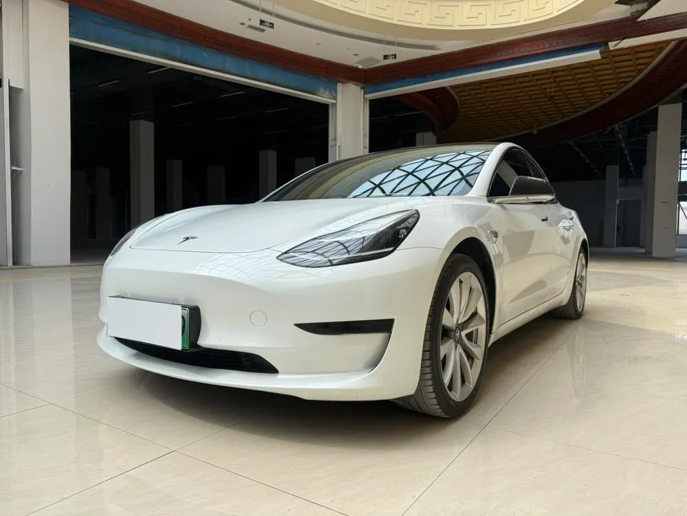 Tesla Model 3 Standard Range RWD Upgraded Edition, 2019 — фото 1