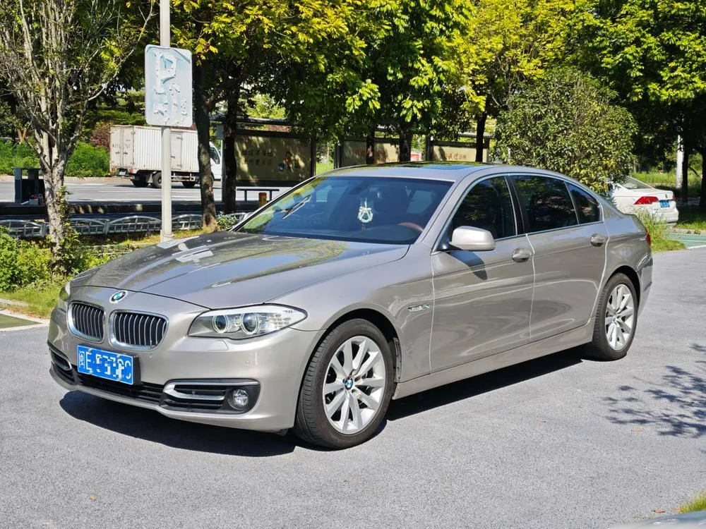 BMW 5-Series 530Li Leading Version, 2012 — фото 1