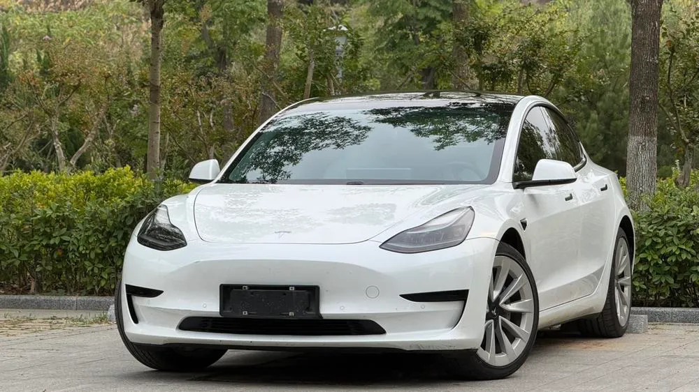 Tesla Model 3 Standard Range RWD Upgraded Edition 3D6, 2021 — фото 1