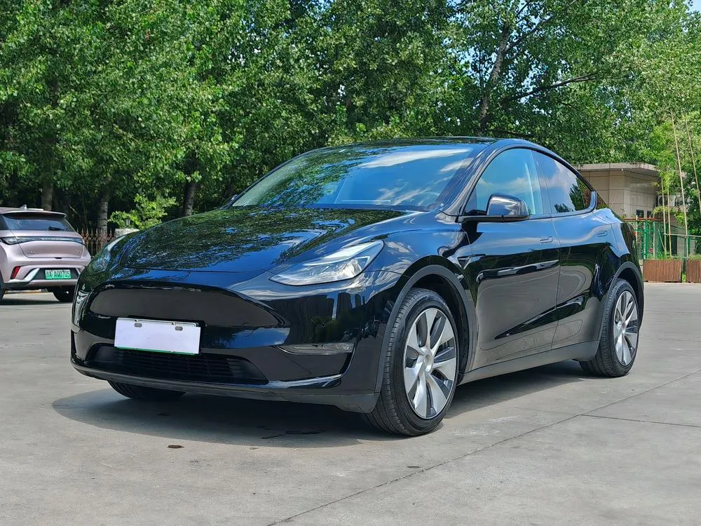 Tesla Model Y Standard Range Edition, 2021 — фото 1