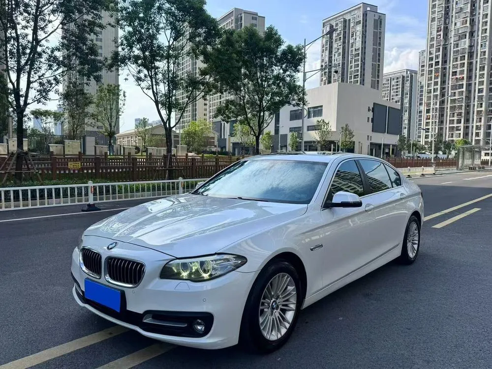 BMW 5-Series 525Li Leading Version, 2014 — фото 1