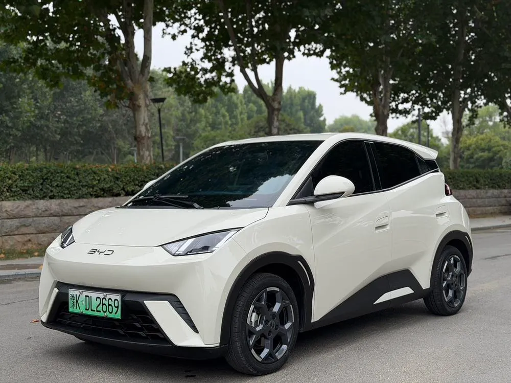 BYD Seagull 305KM Edition, 2025 — фото 1