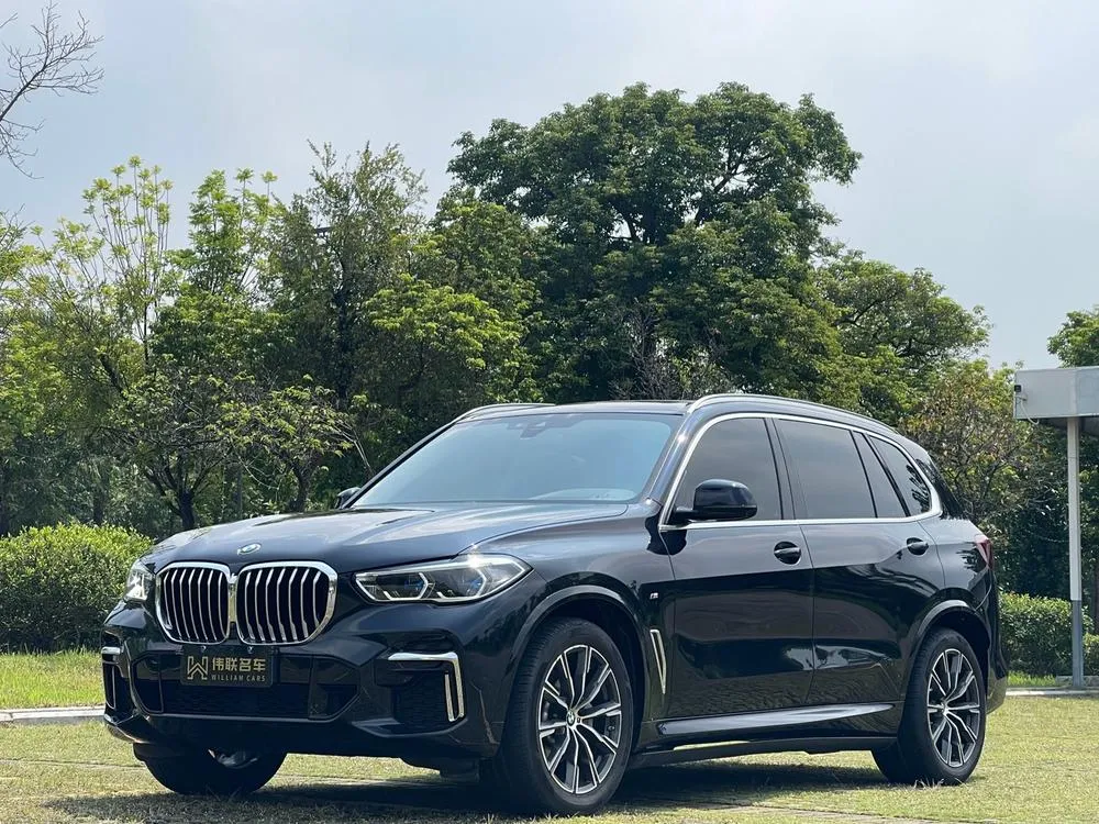 BMW X5 xDrive 30Li Prestige Version M Sport, 2022 — фото 1