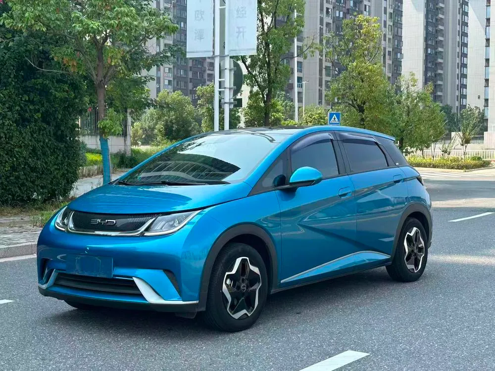 BYD Dolphin Fashion Edition, 2021 — фото 1