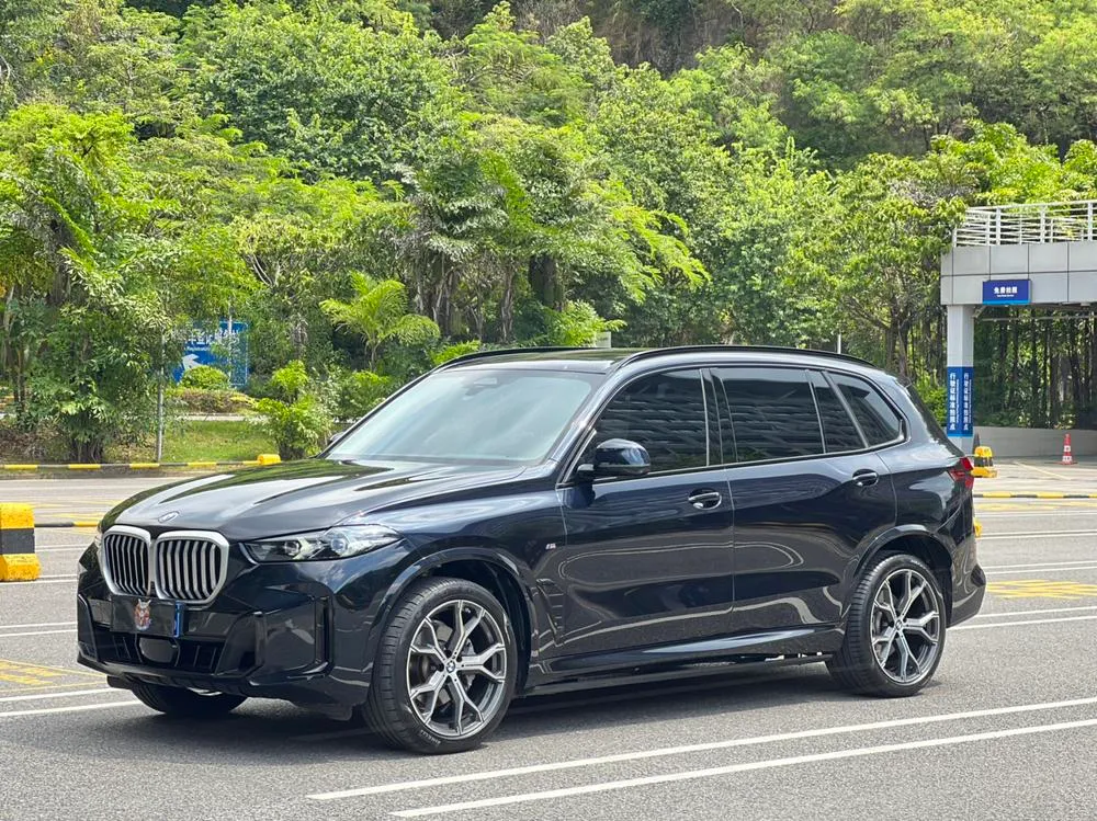 BMW X5 xDrive30Li Prestige Version M Sport, 2025 — фото 1