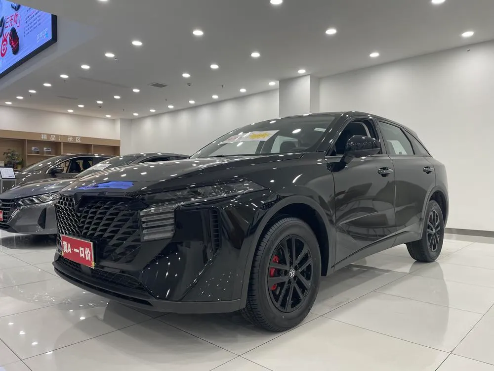 Venucia Big V 260T версия Pro, 2026 — фото 1