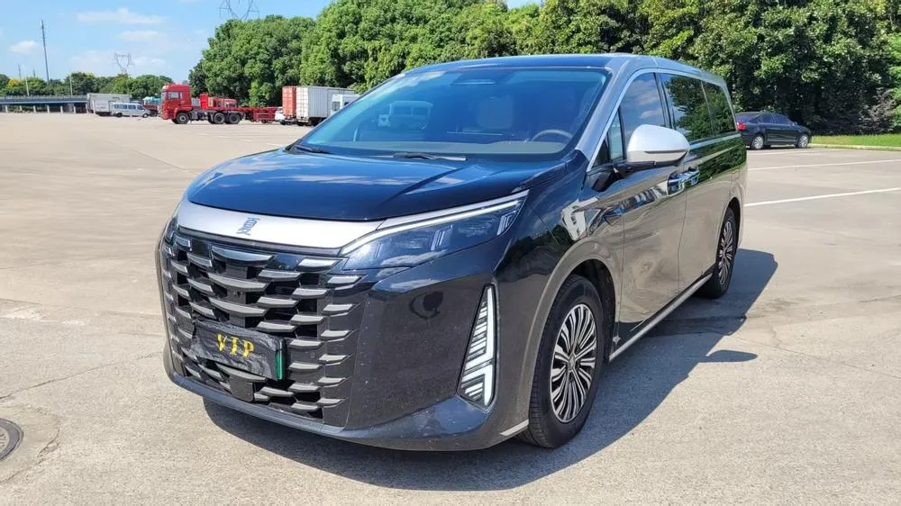 BYD Xia, 2025