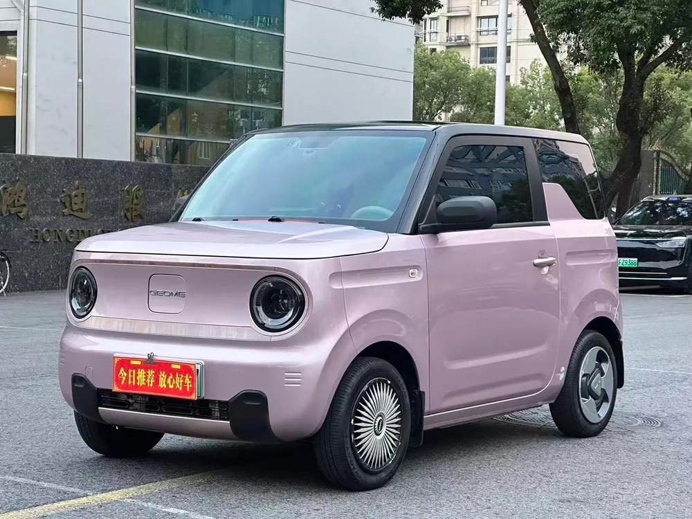 Galaxy Panda 200km mini, 2023 — фото 1