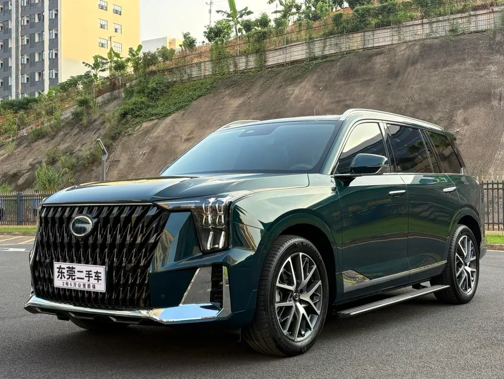 GAC Trumpchi Trumpchi GS8 Dual Engine Series 2.0TM Hybrid 2WD Premium Edition, 2024 — фото 1